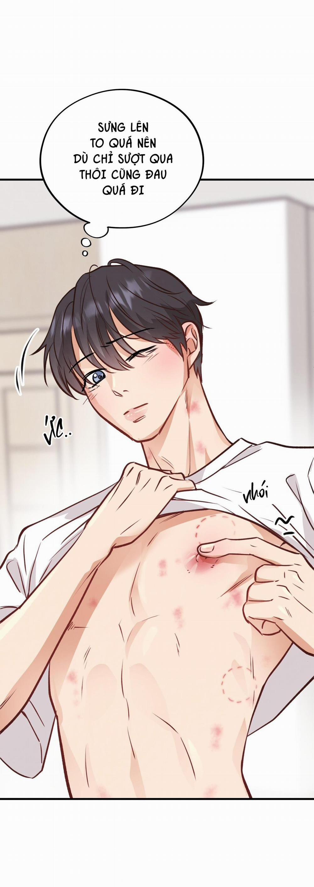 Honey Bear 29 trang 70