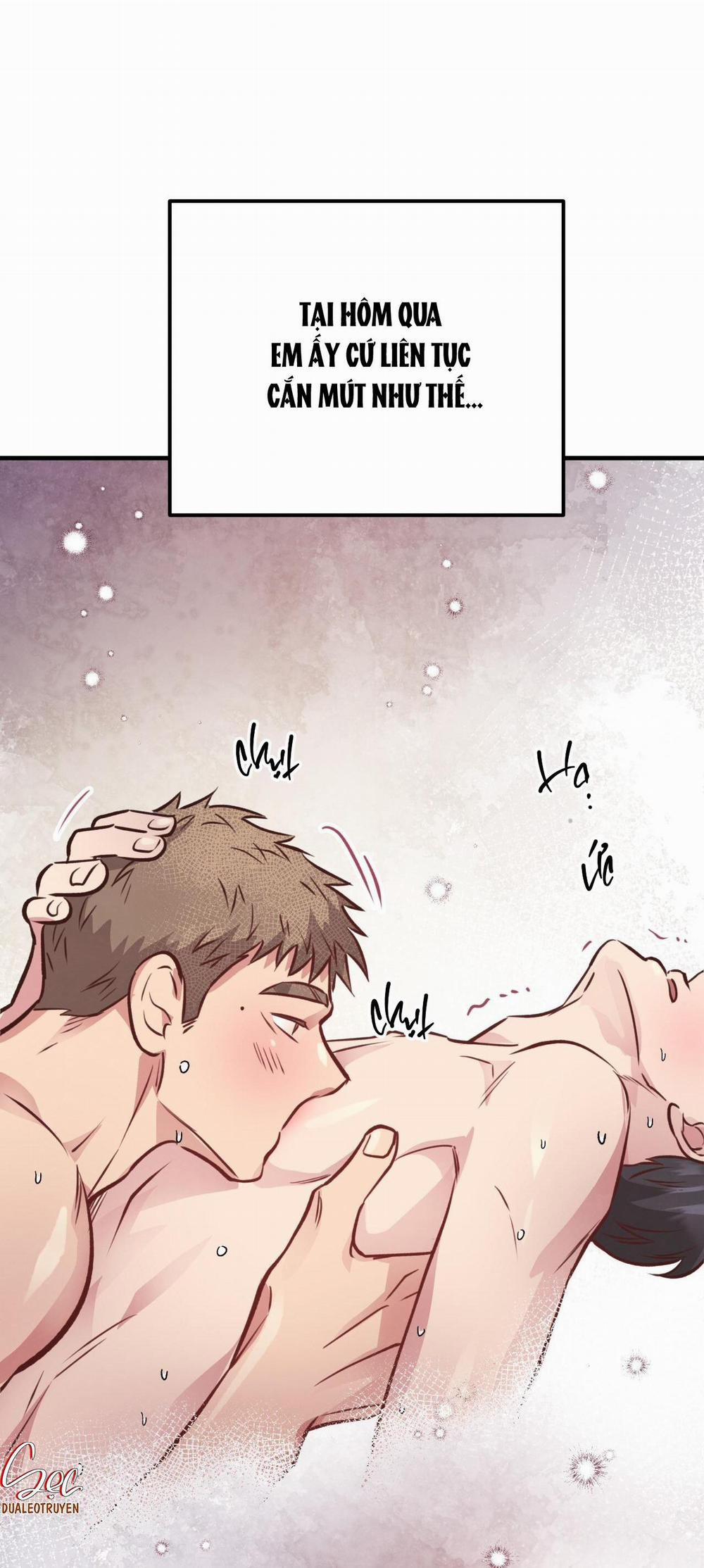 Honey Bear 29 trang 71