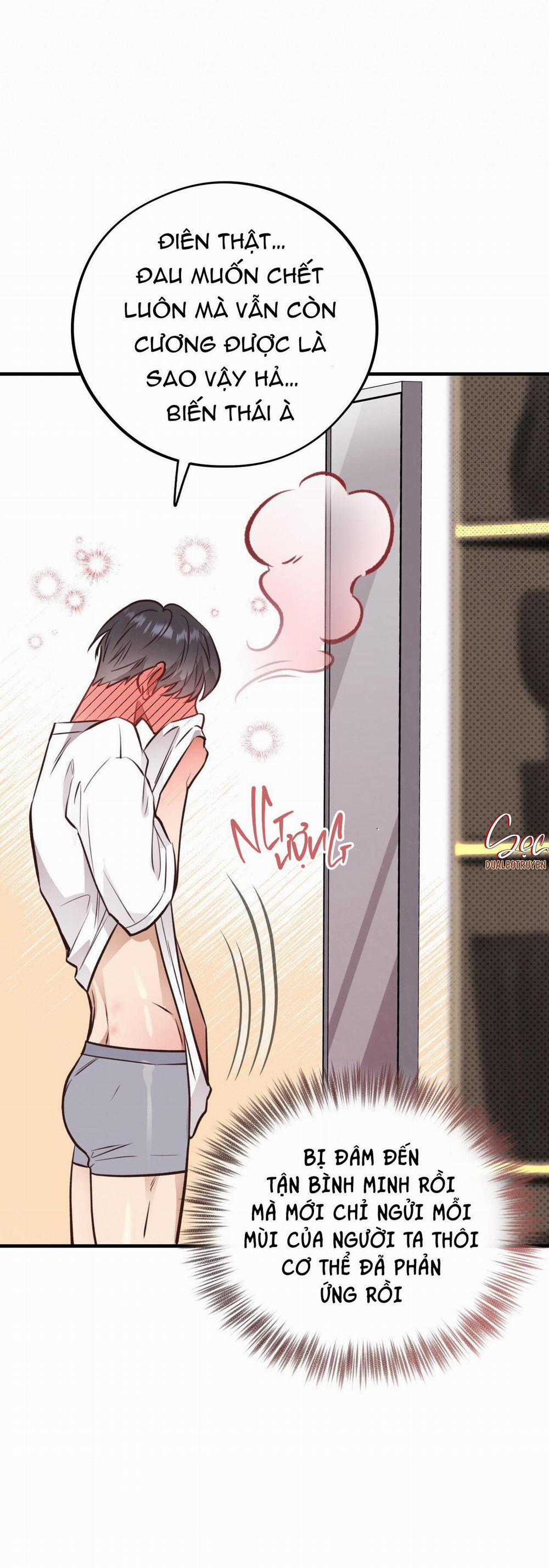 Honey Bear 29 trang 75