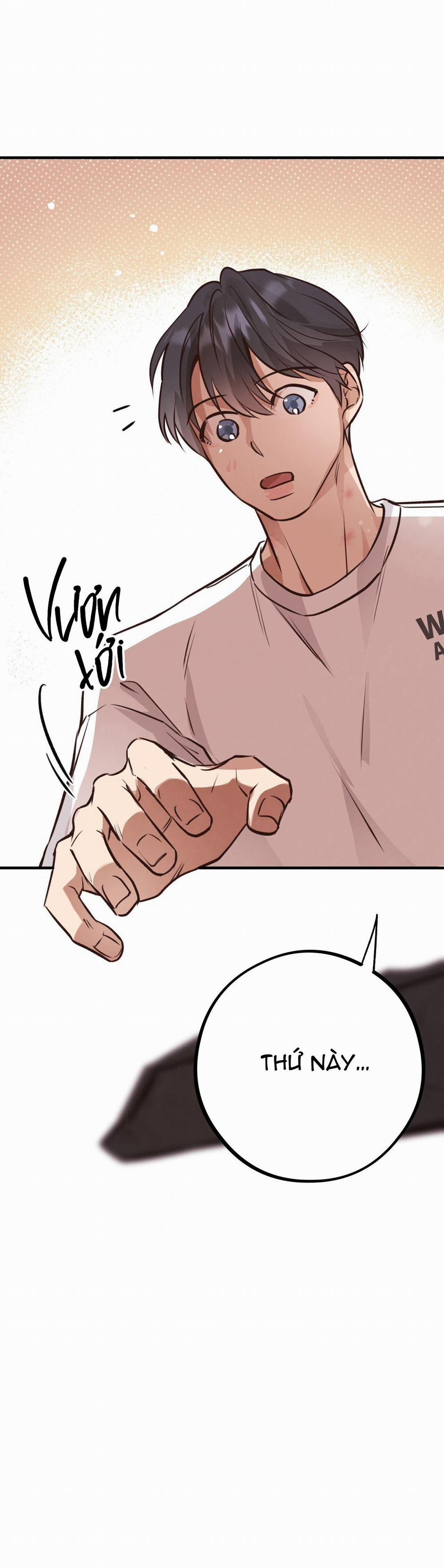 Honey Bear 29 trang 80