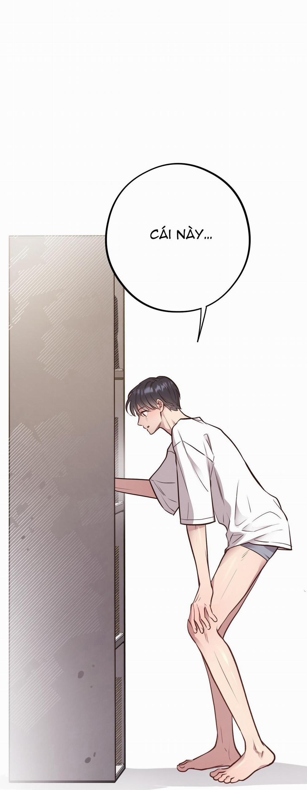 Honey Bear 30 trang 1