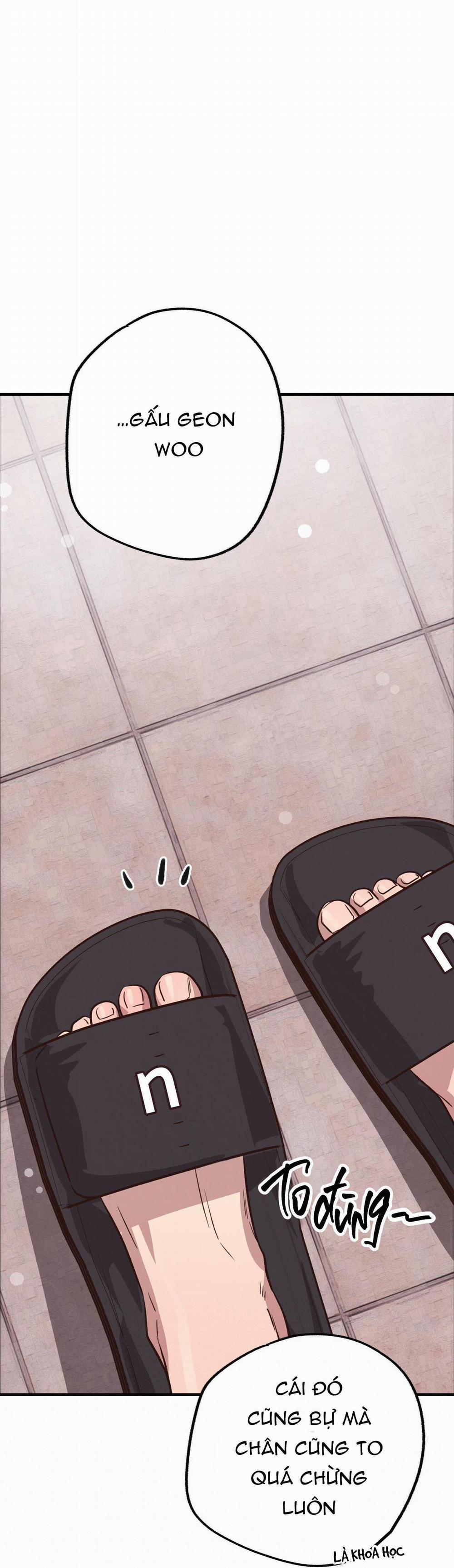 Honey Bear 30 trang 29