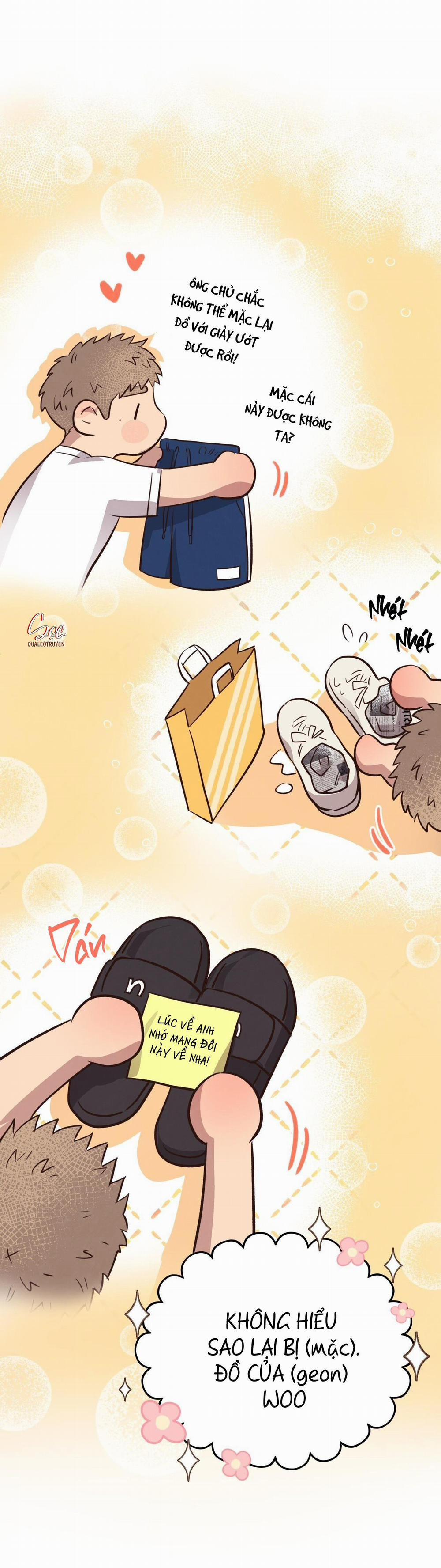 Honey Bear 30 trang 31