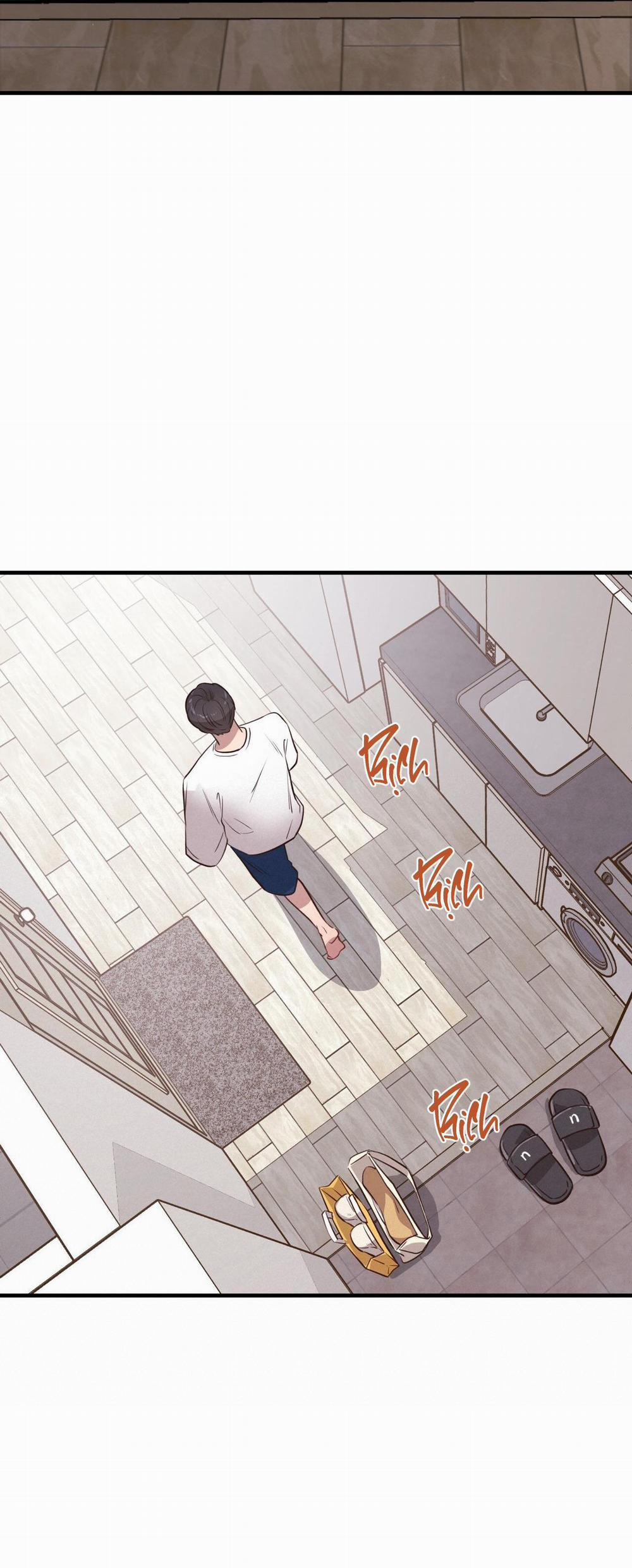 Honey Bear 30 trang 36