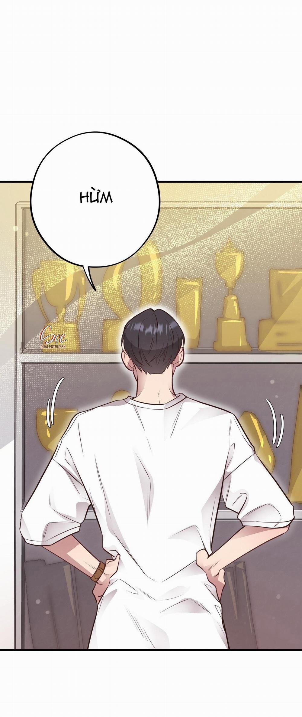 Honey Bear 30 trang 37