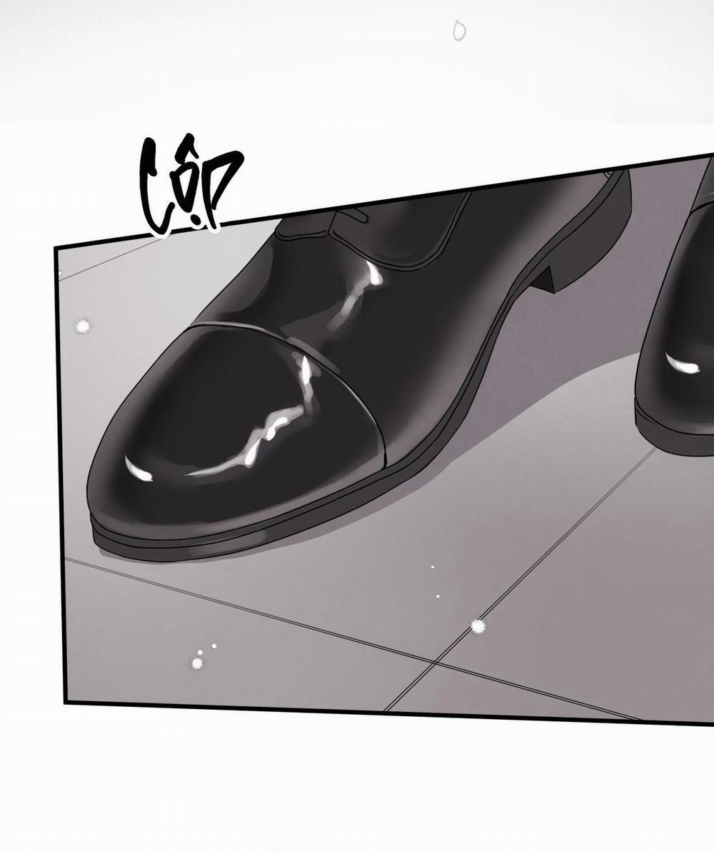 Honey Bear 30 trang 50