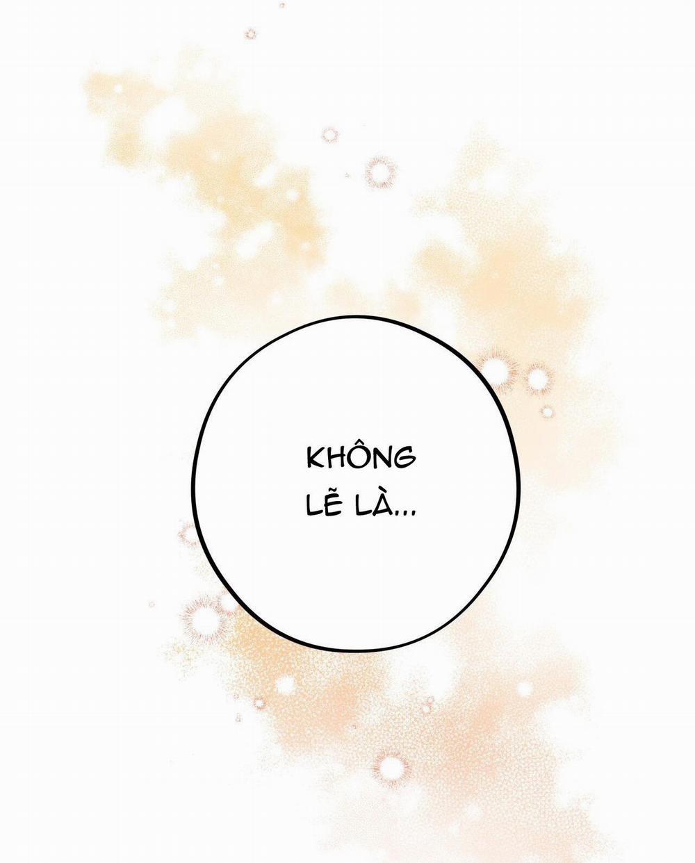 Honey Bear 30 trang 7