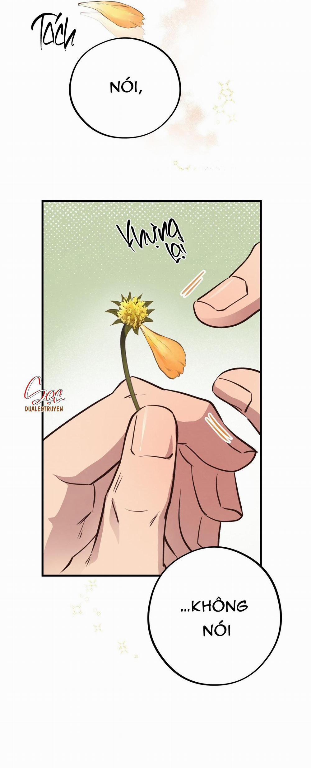 Honey Bear 31 trang 12