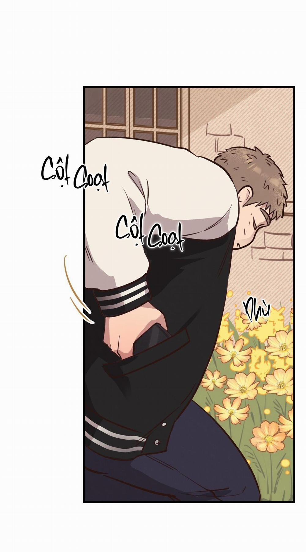 Honey Bear 31 trang 14