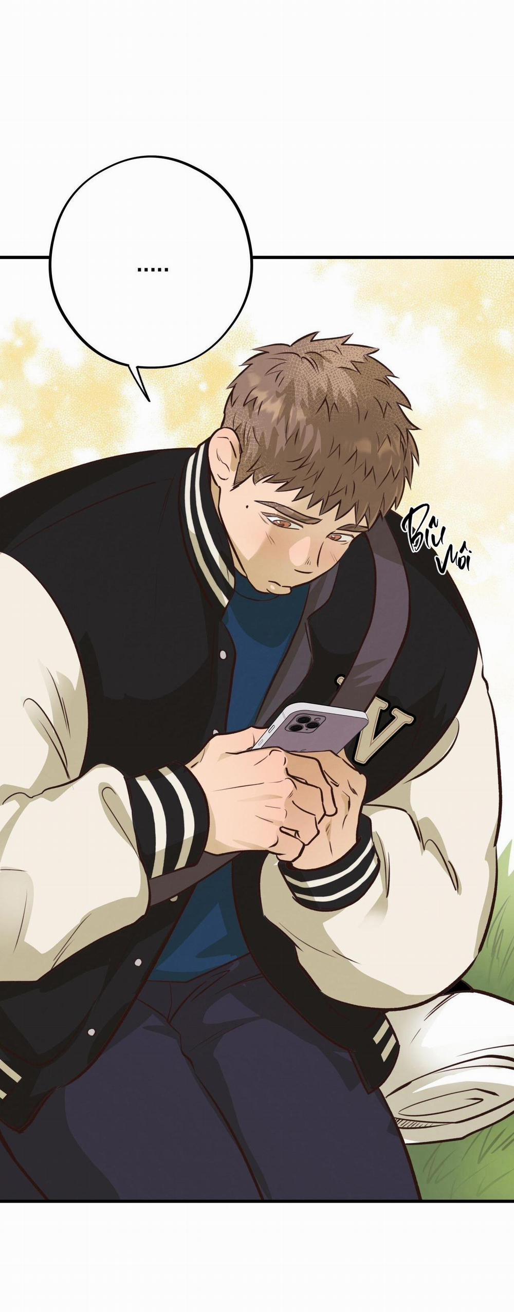 Honey Bear 31 trang 17