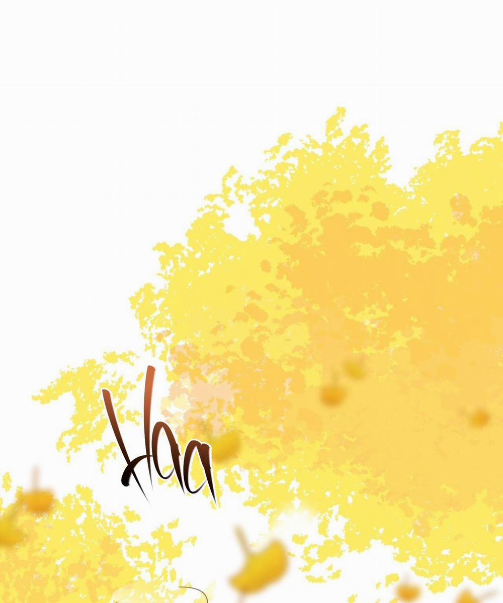 Honey Bear 31 trang 21