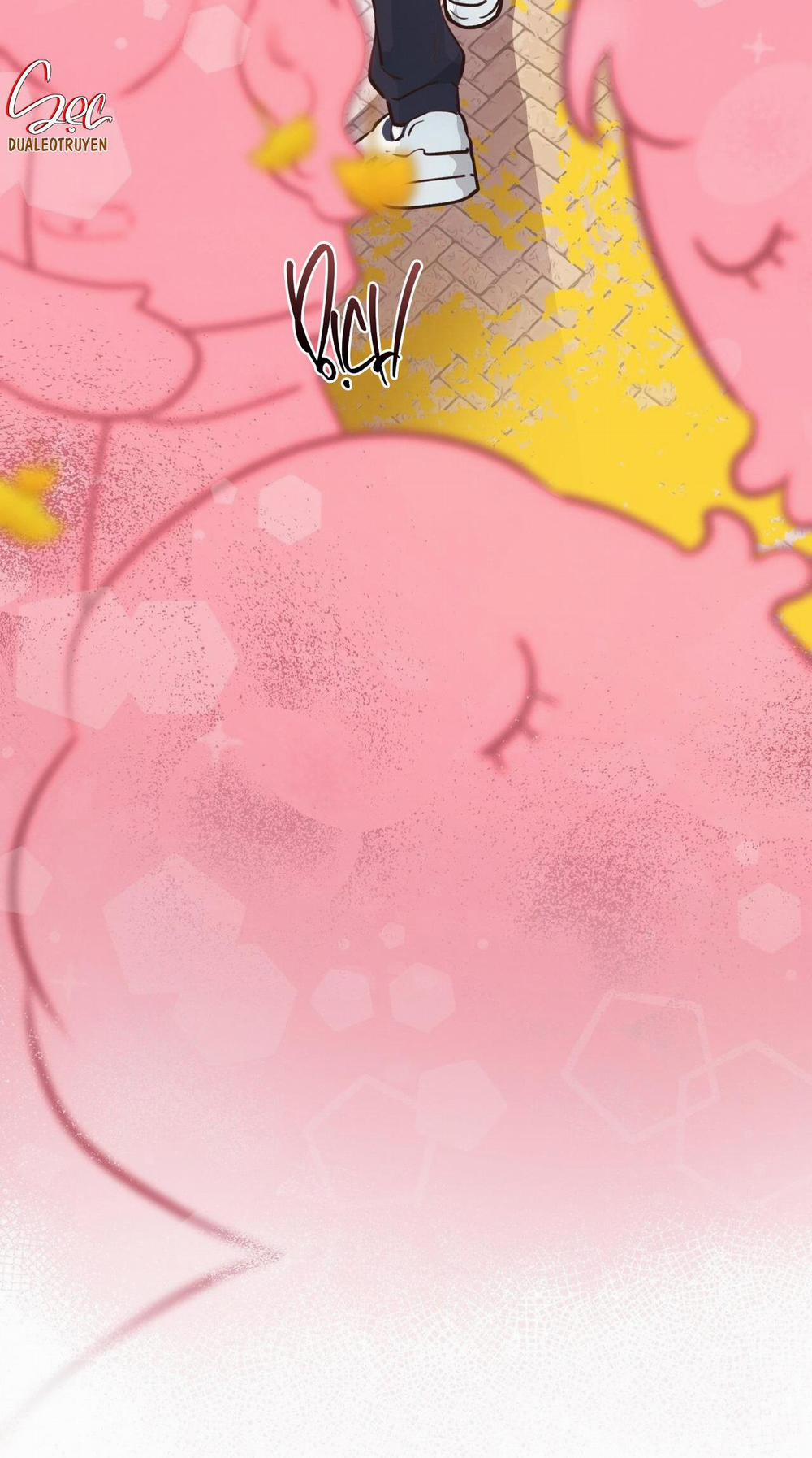 Honey Bear 31 trang 23