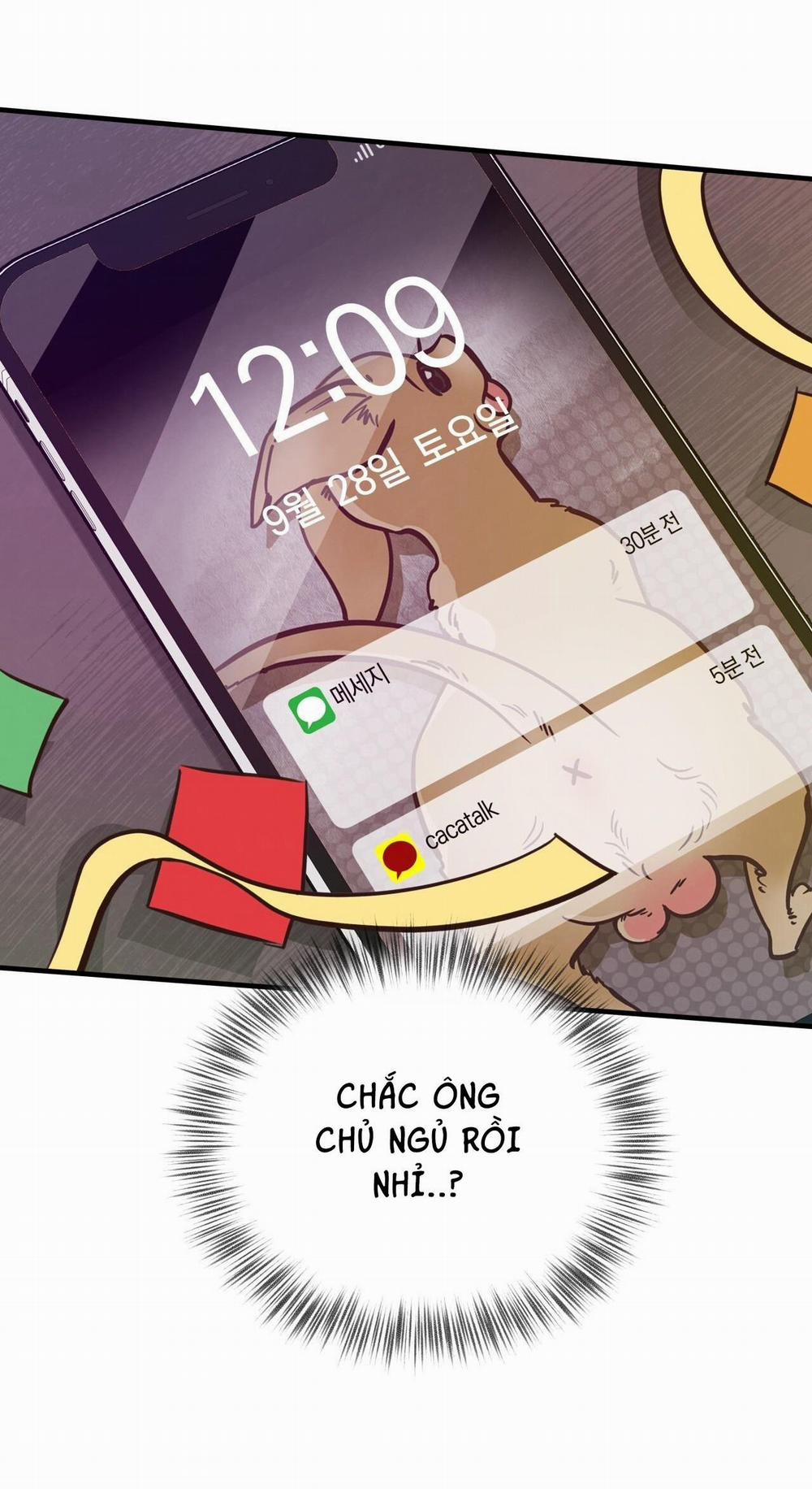 Honey Bear 31 trang 36