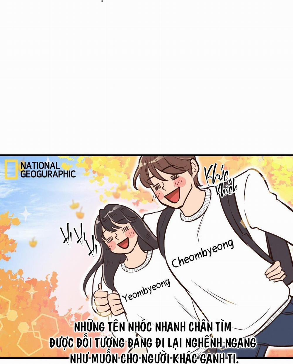 Honey Bear 31 trang 4