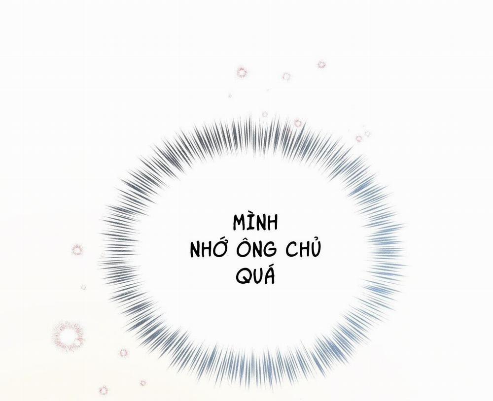 Honey Bear 31 trang 47