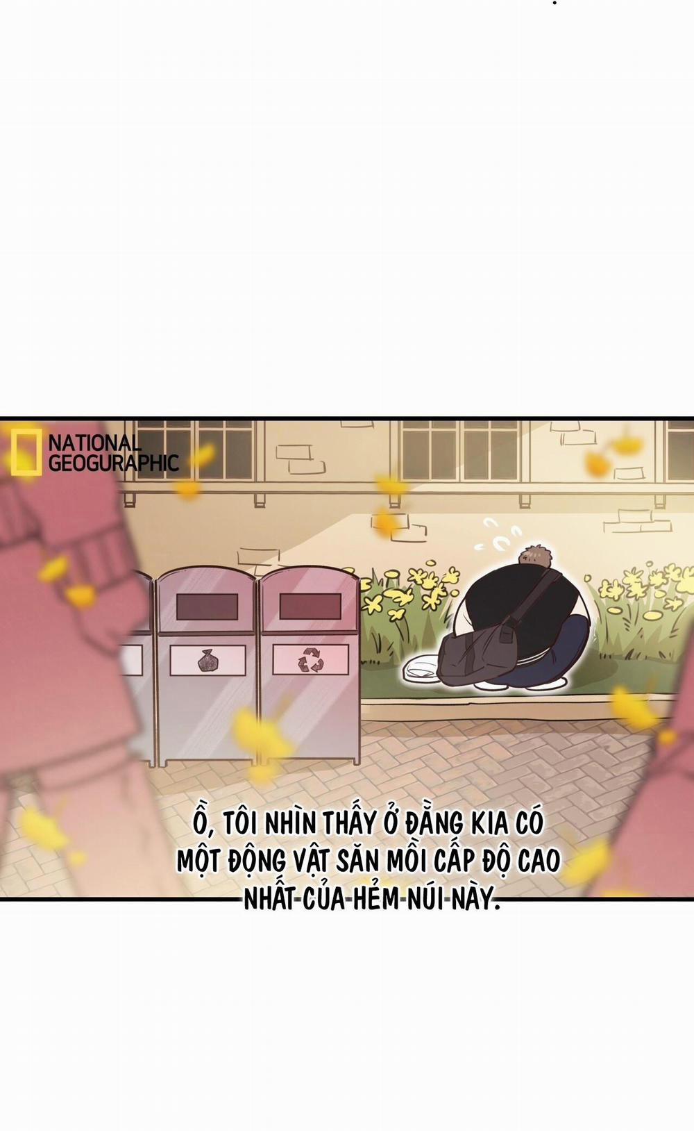 Honey Bear 31 trang 5