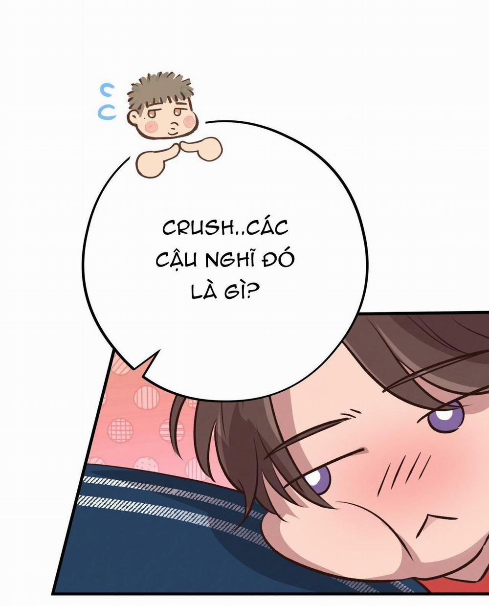 Honey Bear 31 trang 55