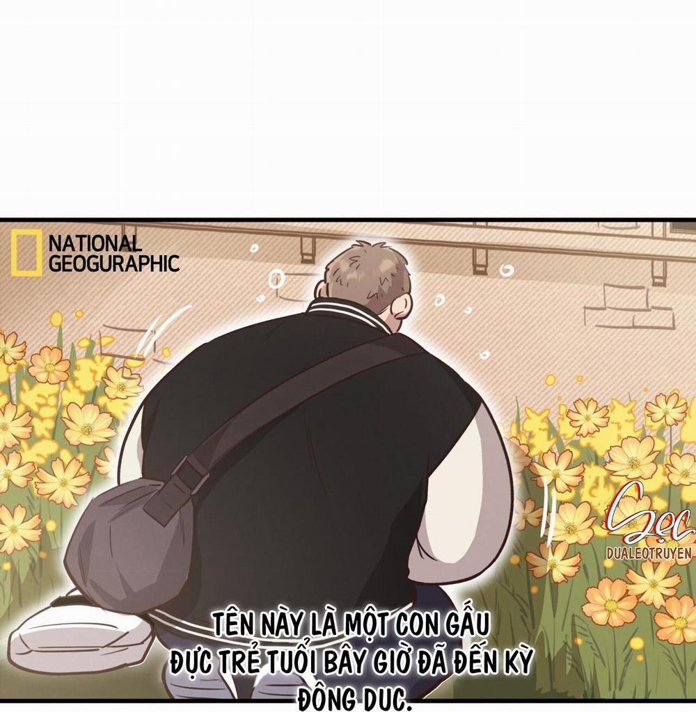 Honey Bear 31 trang 6