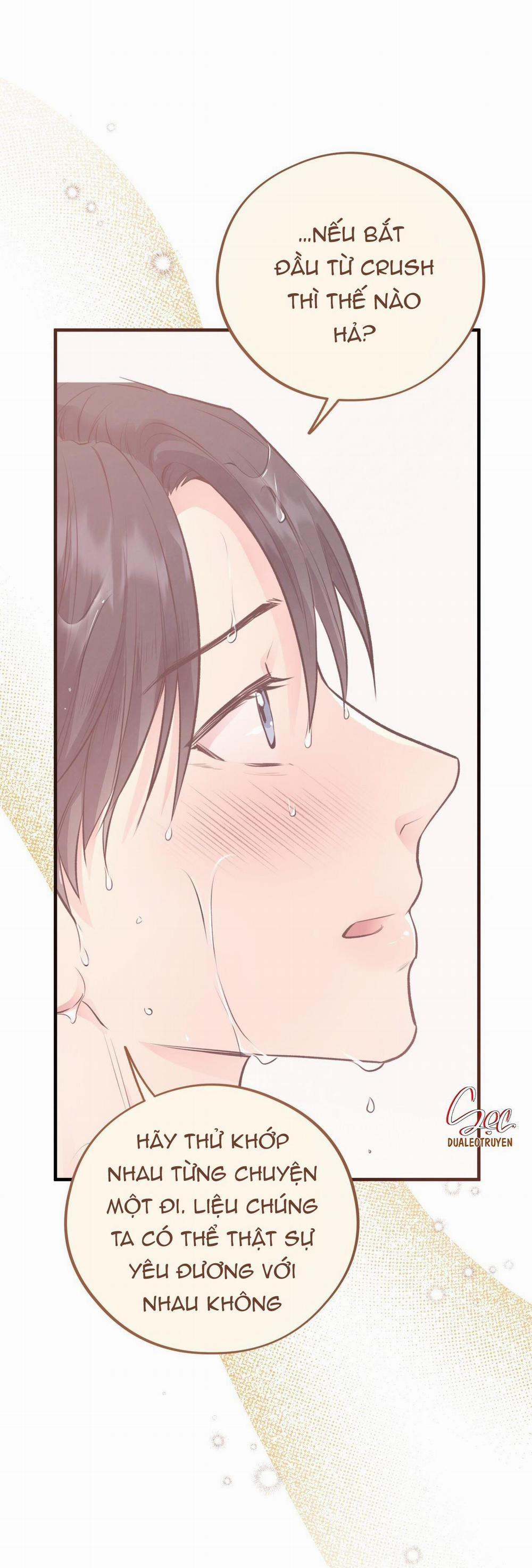 Honey Bear 31 trang 65