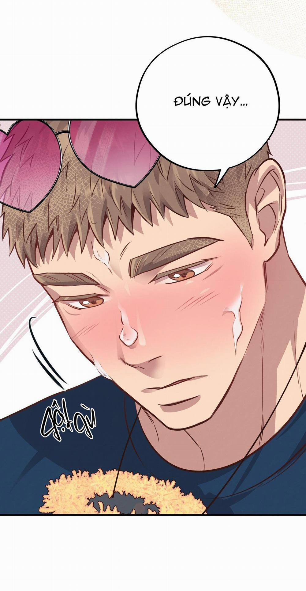 Honey Bear 31 trang 67