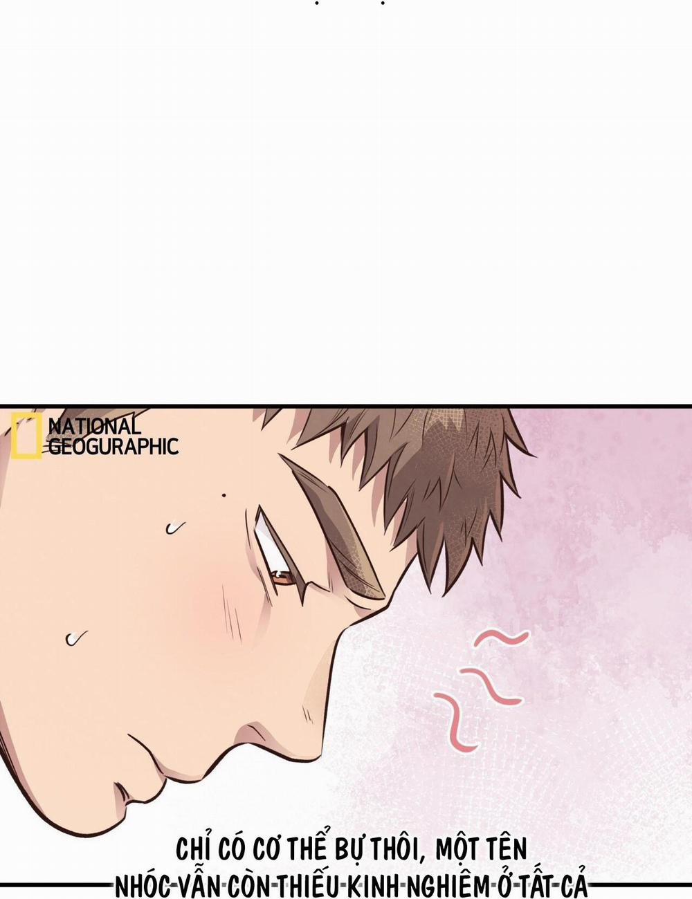 Honey Bear 31 trang 7