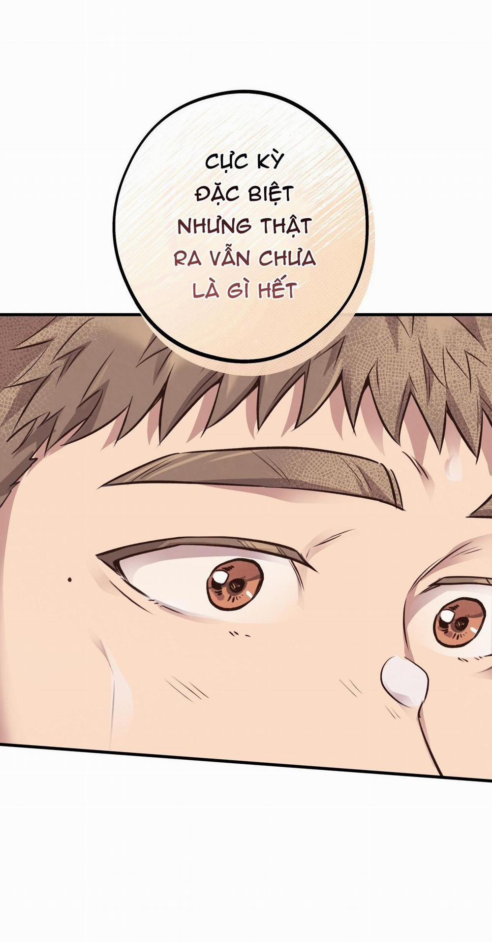 Honey Bear 31 trang 72