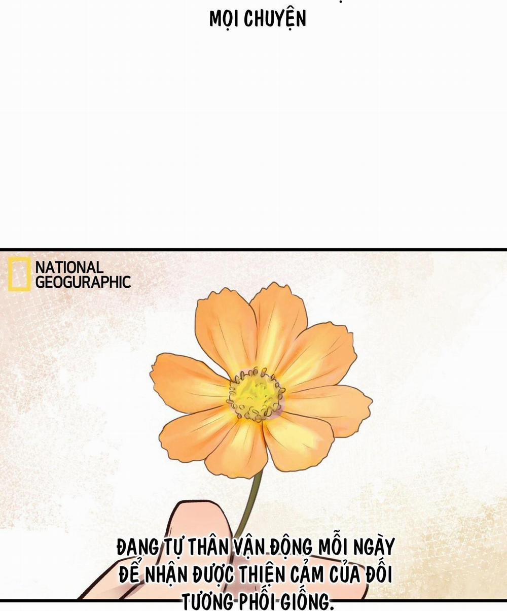 Honey Bear 31 trang 8