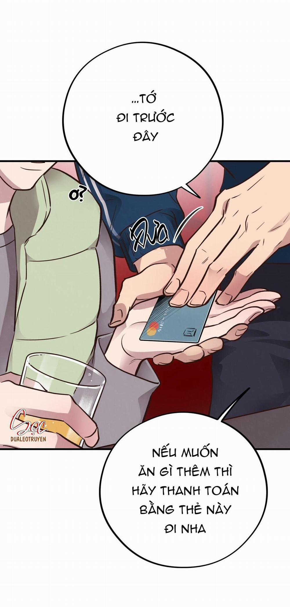 Honey Bear 31 trang 81