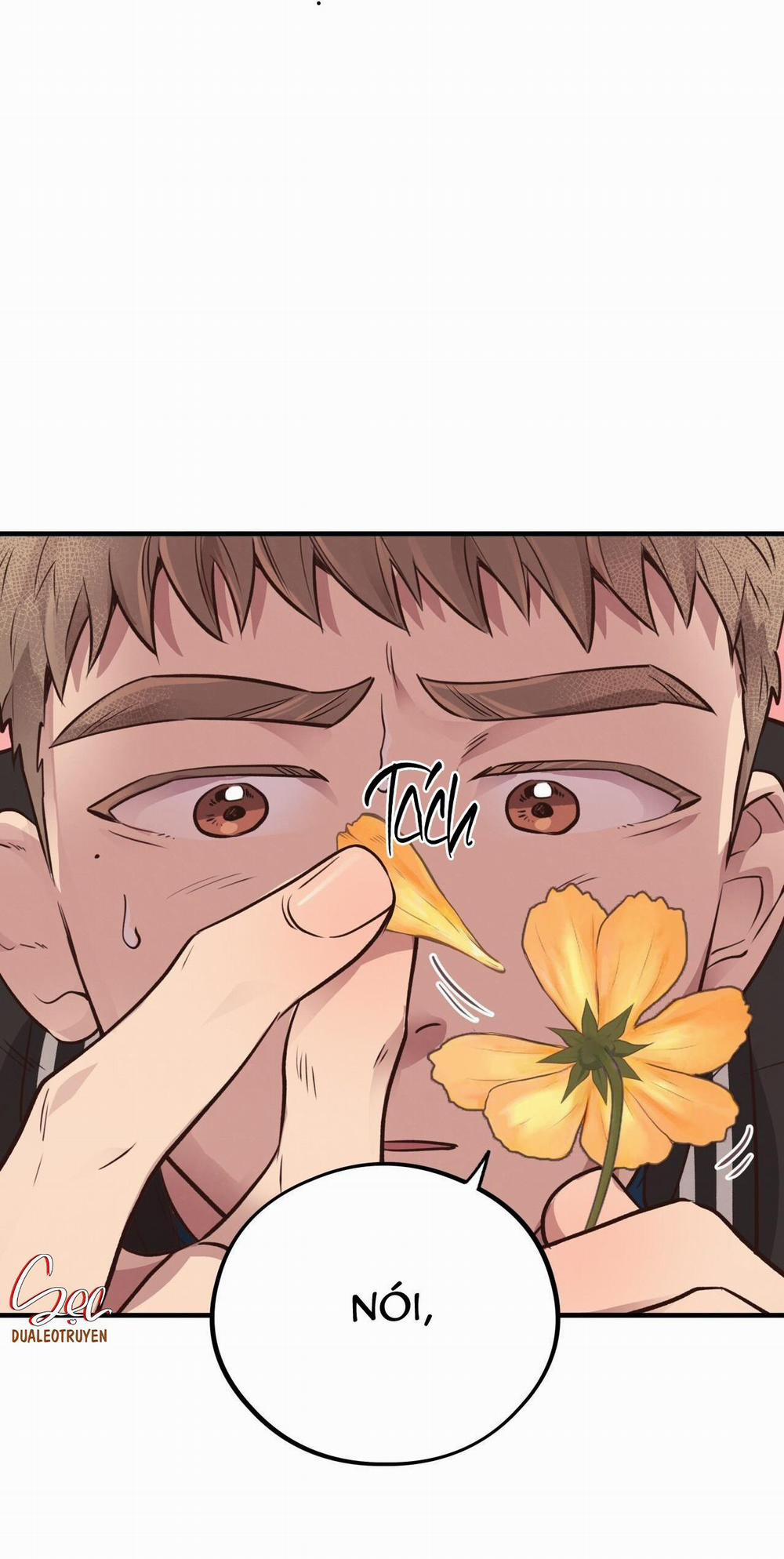 Honey Bear 31 trang 9