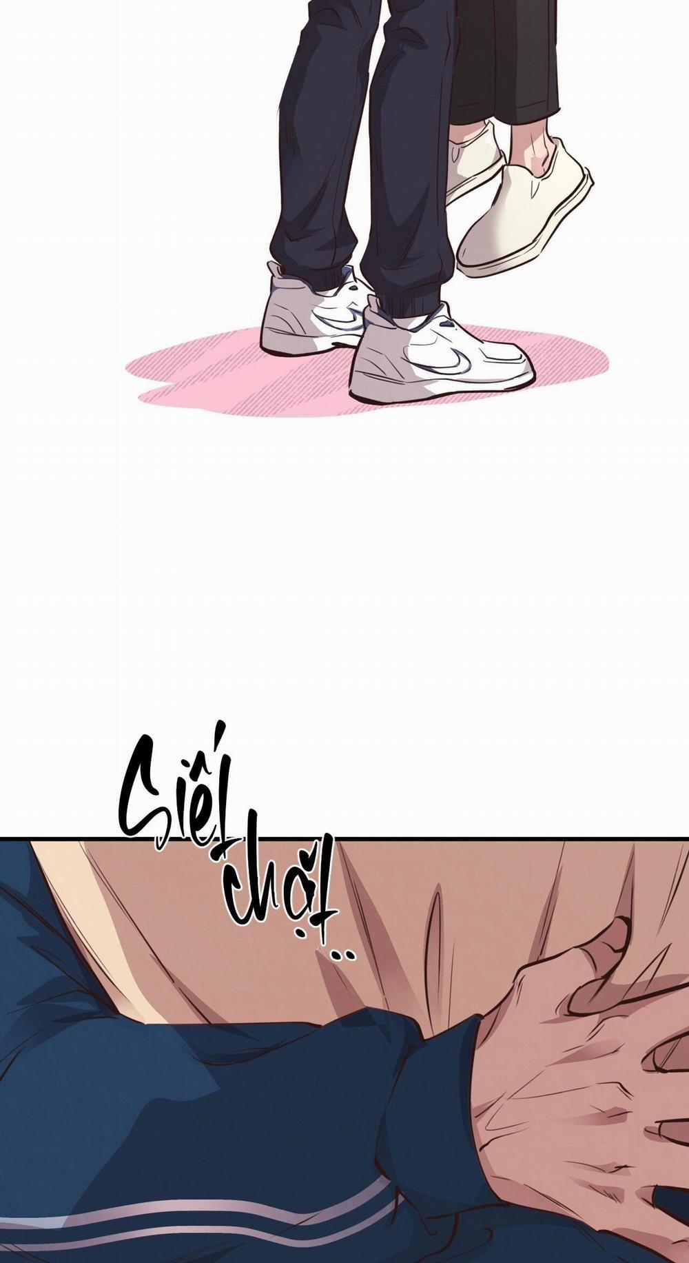 Honey Bear 32 trang 2