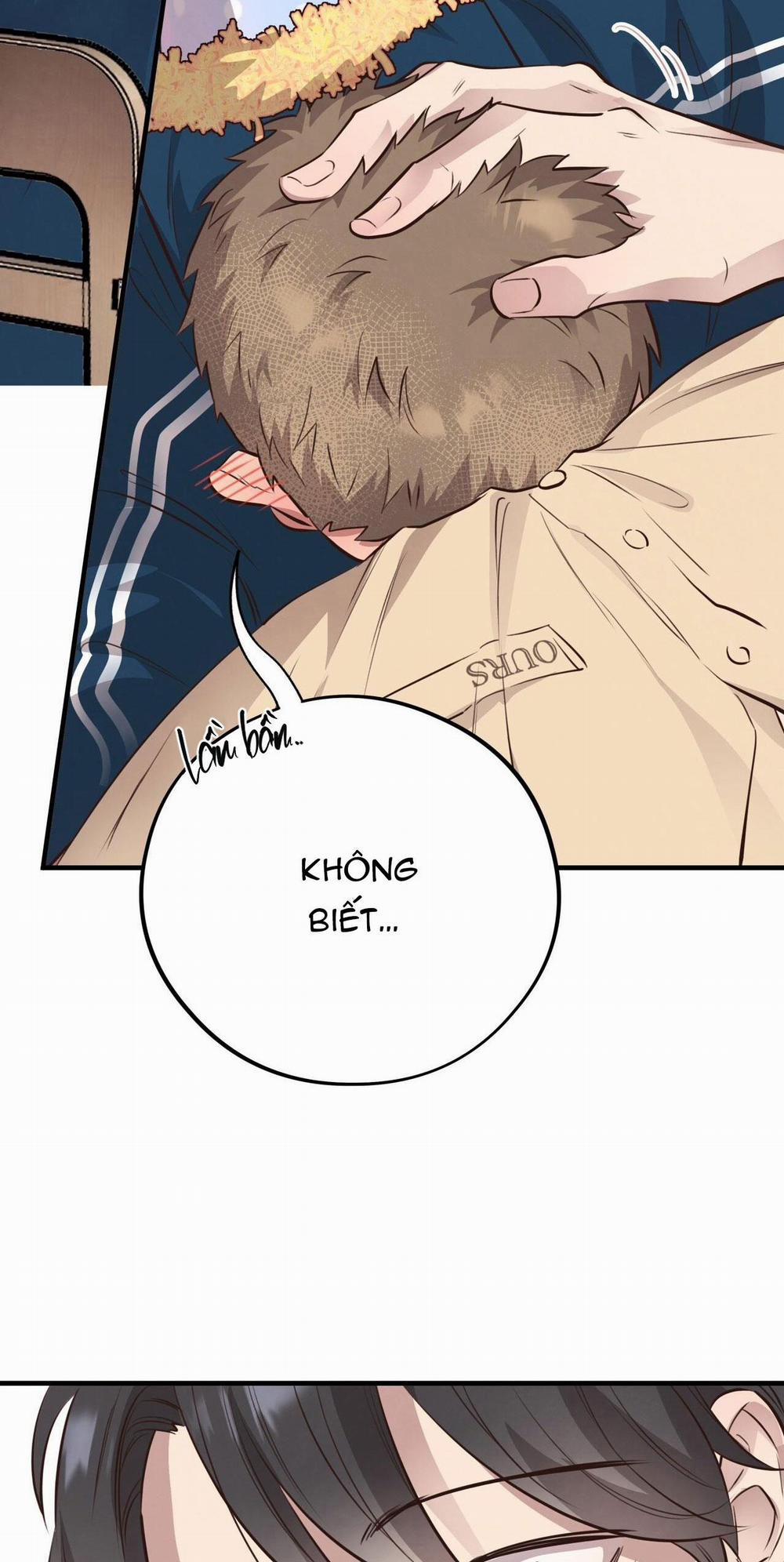 Honey Bear 32 trang 20