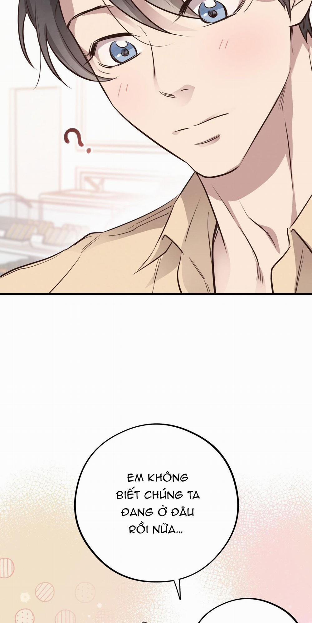 Honey Bear 32 trang 21