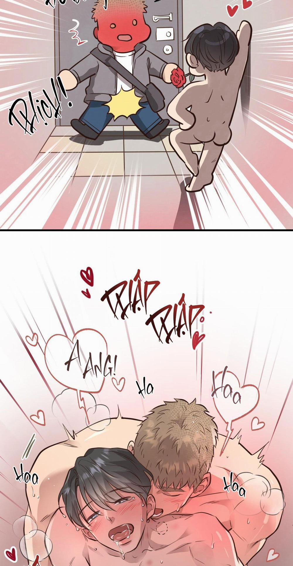 Honey Bear 32 trang 43