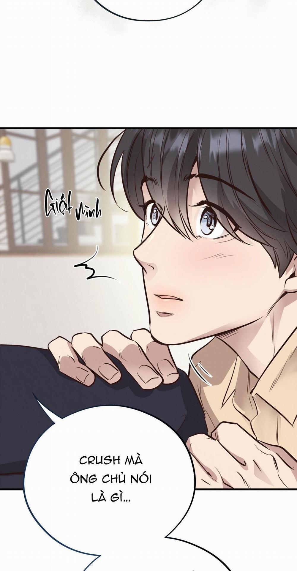 Honey Bear 32 trang 53