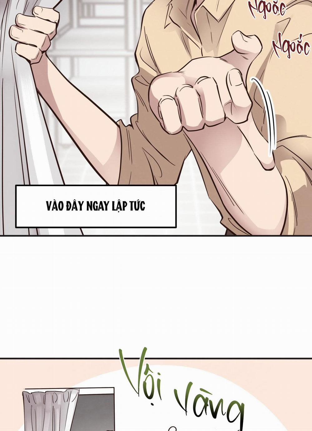 Honey Bear 32 trang 85