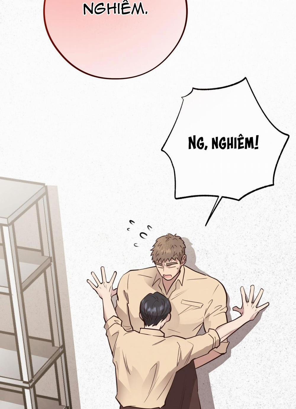 Honey Bear 32 trang 88