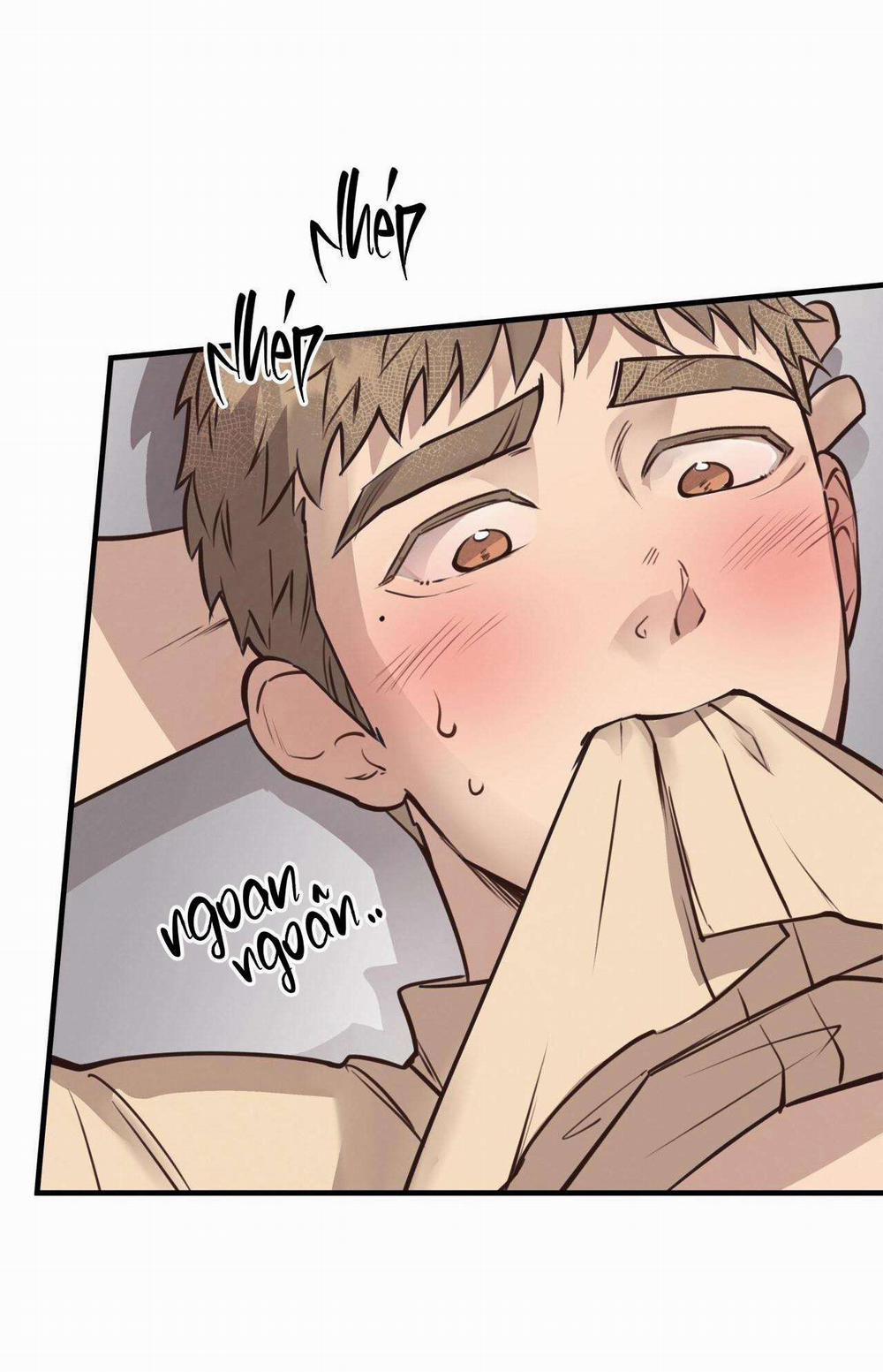 Honey Bear 33 trang 36