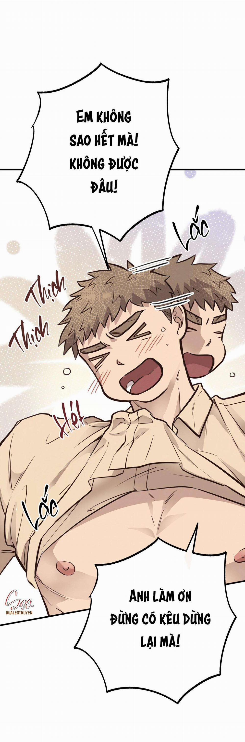 Honey Bear 33 trang 41