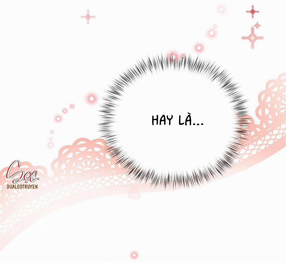 Honey Bear 33 trang 6