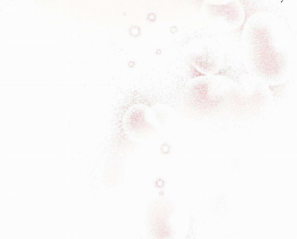 Honey Bear 33 trang 64