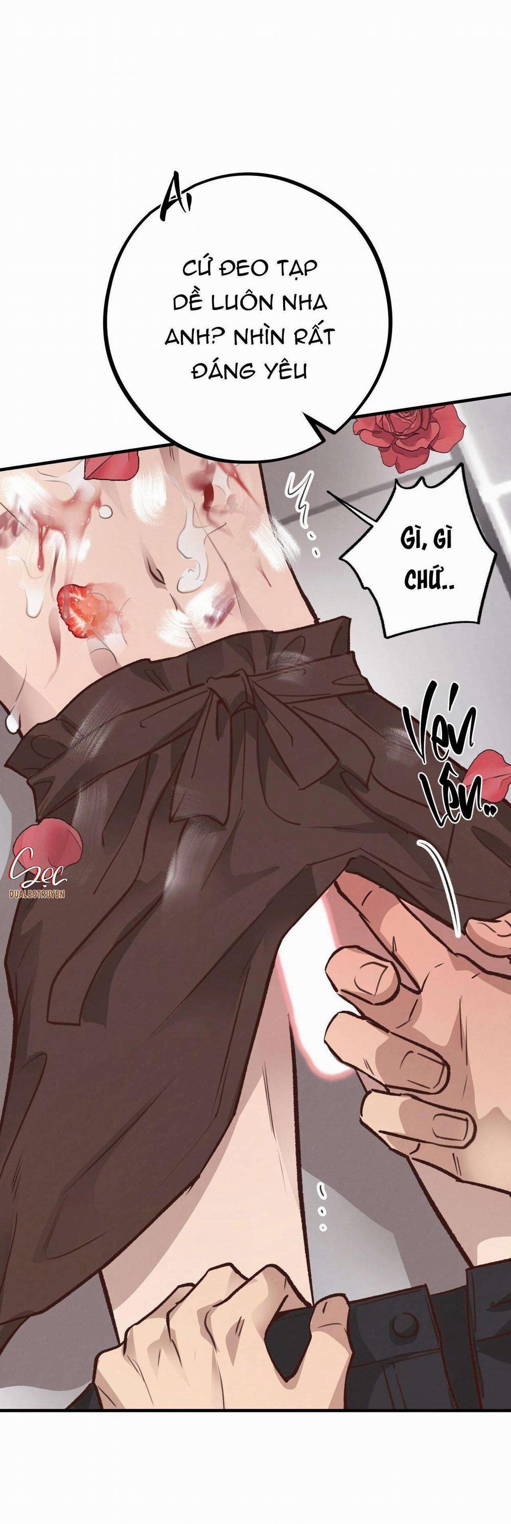 Honey Bear 33 trang 94