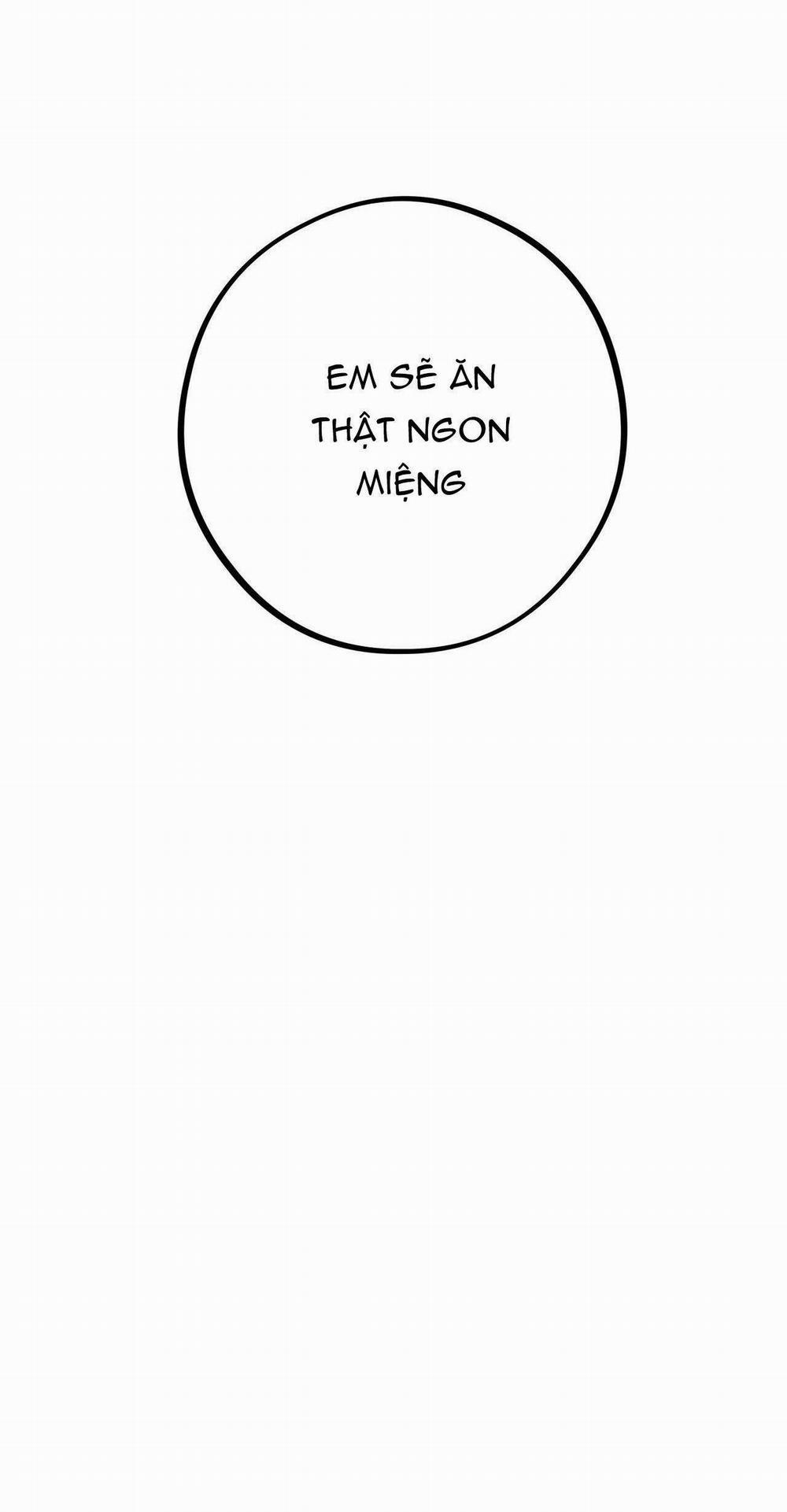 Honey Bear 33 trang 98