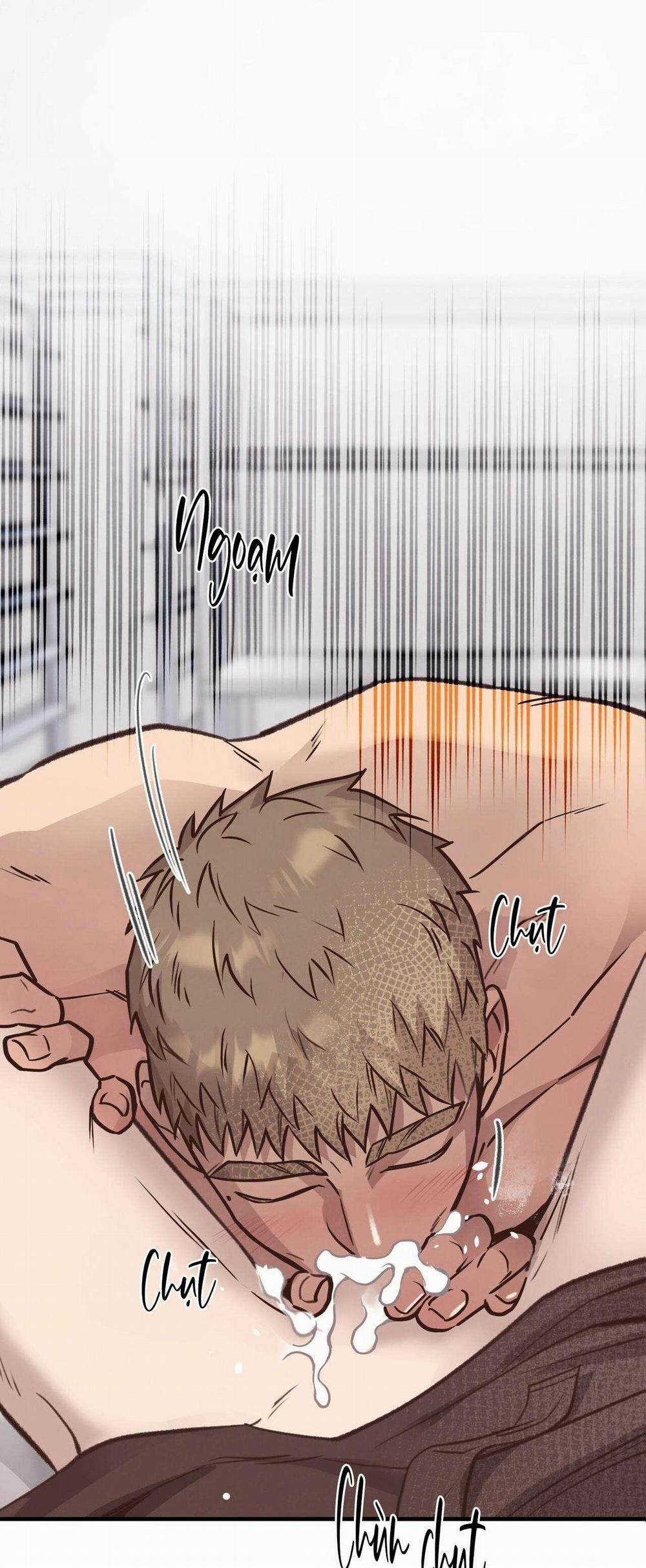 Honey Bear 34 trang 1