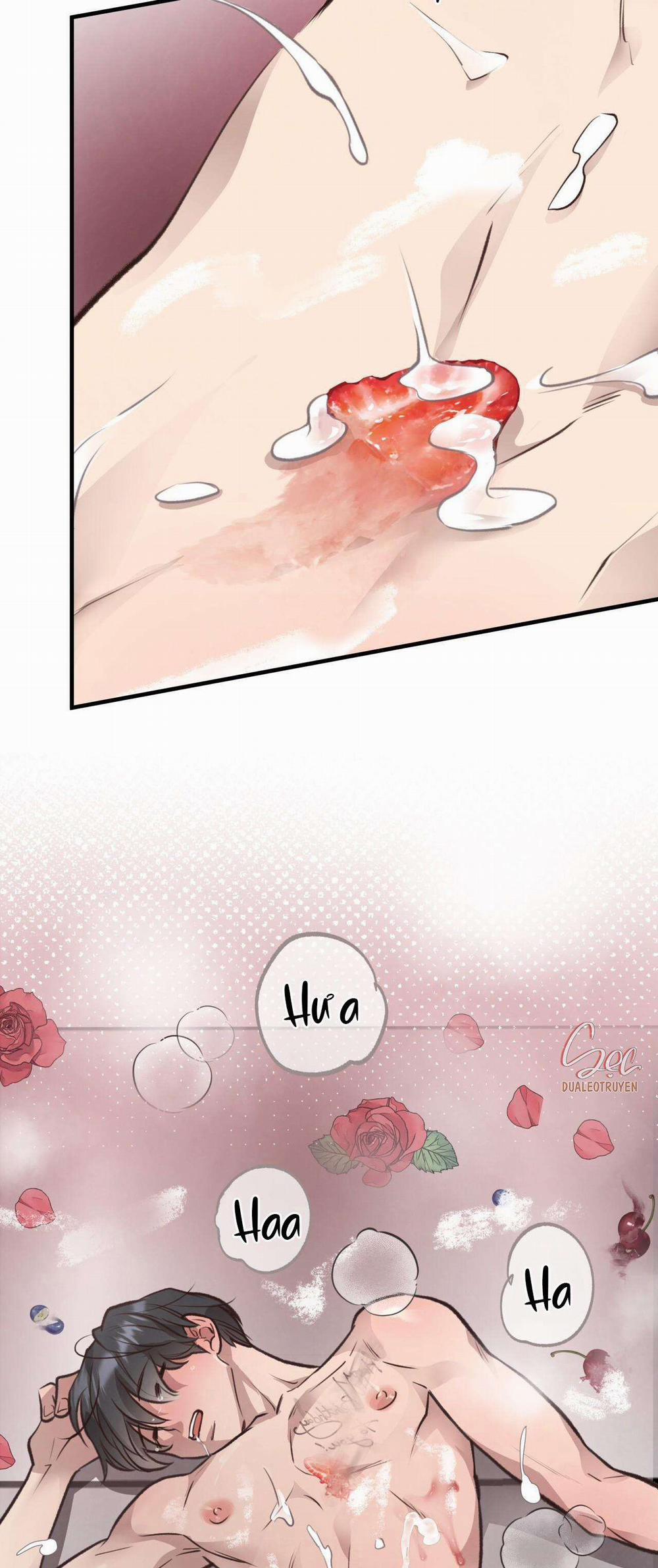 Honey Bear 34 trang 28