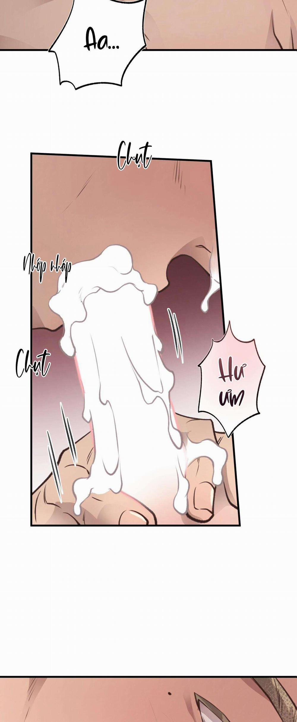 Honey Bear 34 trang 3