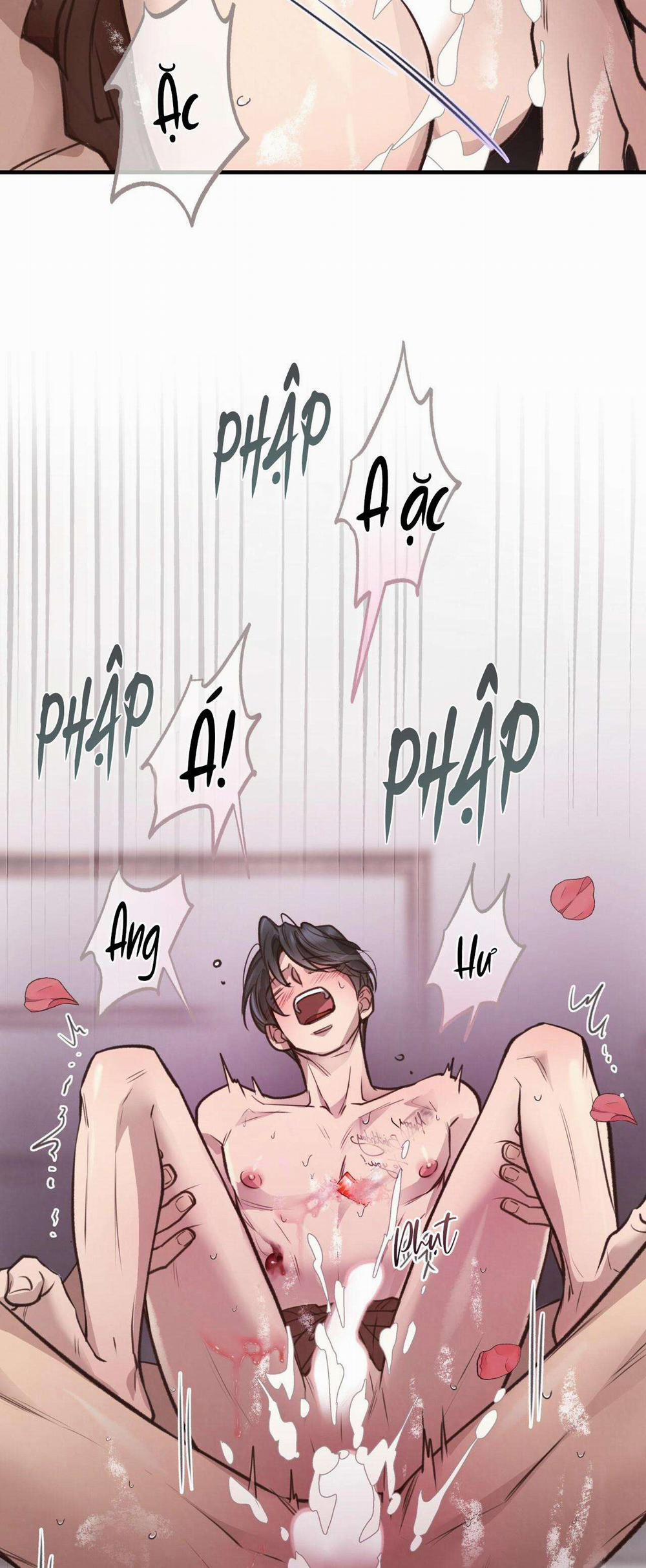 Honey Bear 34 trang 50