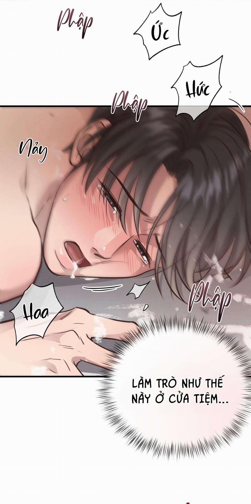 Honey Bear 34 trang 57