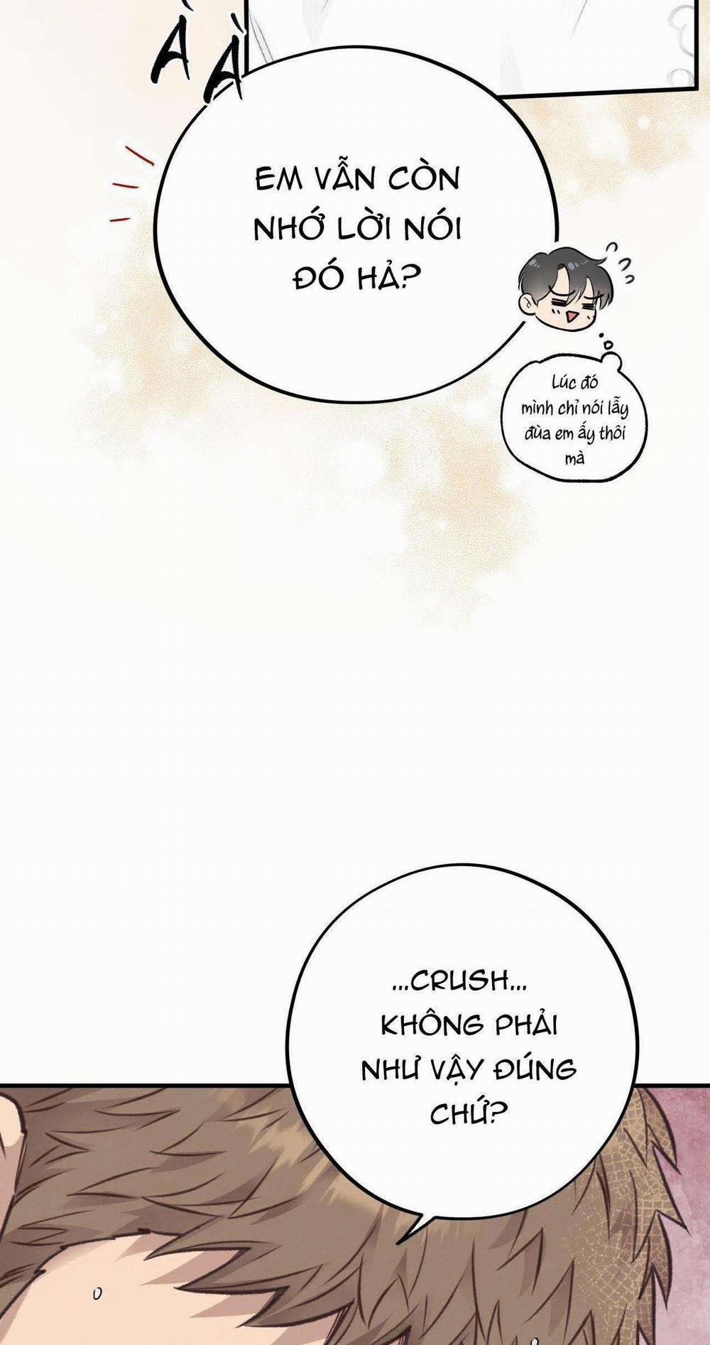 Honey Bear 35 trang 13