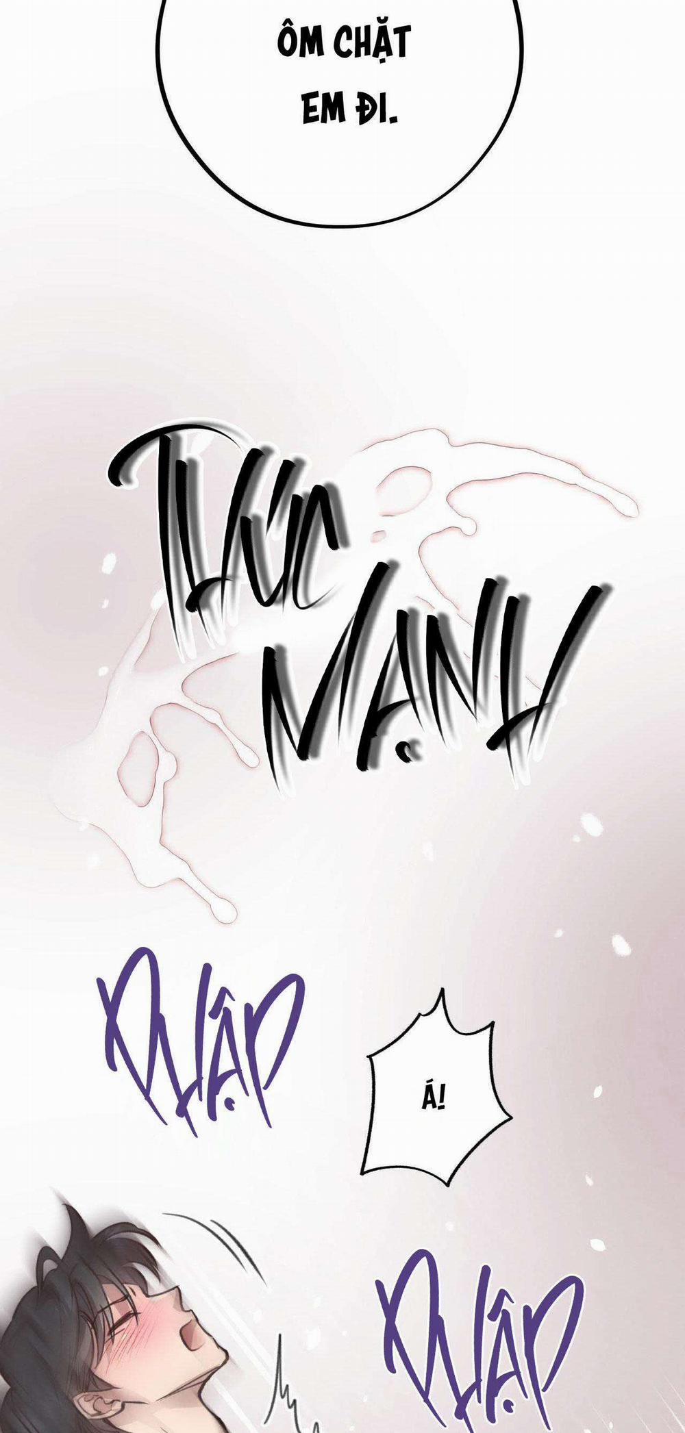 Honey Bear 35 trang 43