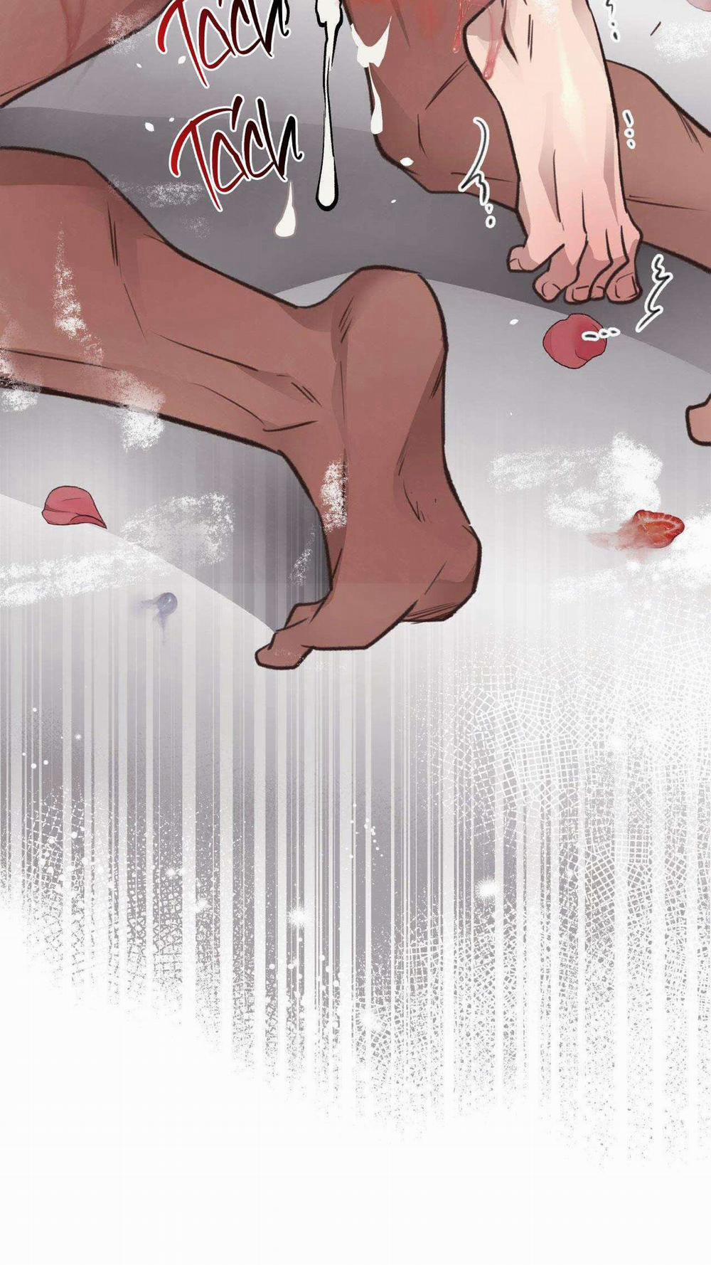 Honey Bear 35 trang 51